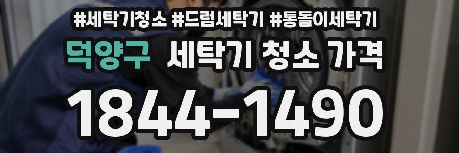 덕양구 세탁기 청소 가격