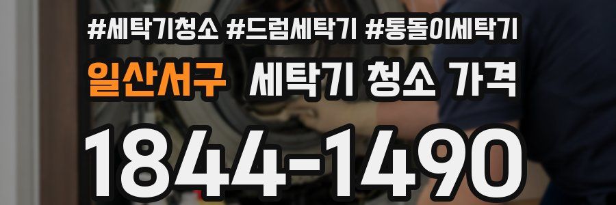 일산서구 세탁기 청소 가격