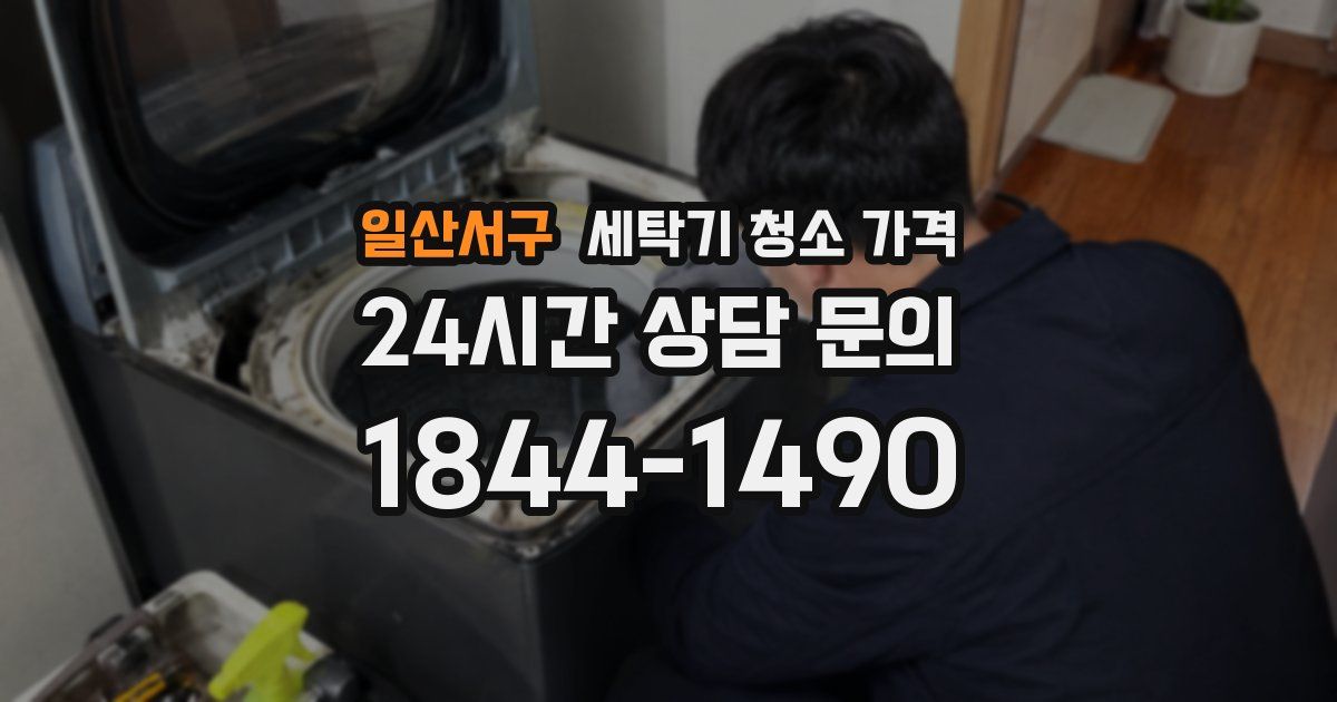 일산서구 세탁기 청소 가격