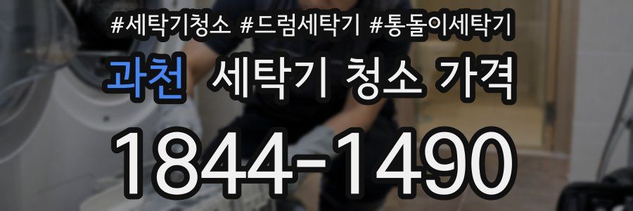 과천 세탁기 청소 가격