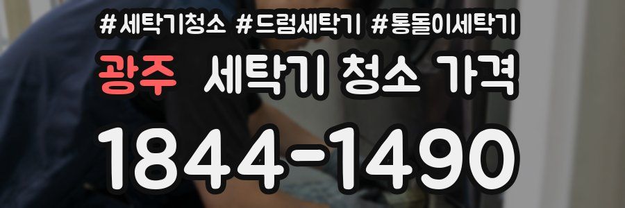 광주 세탁기 청소 가격
