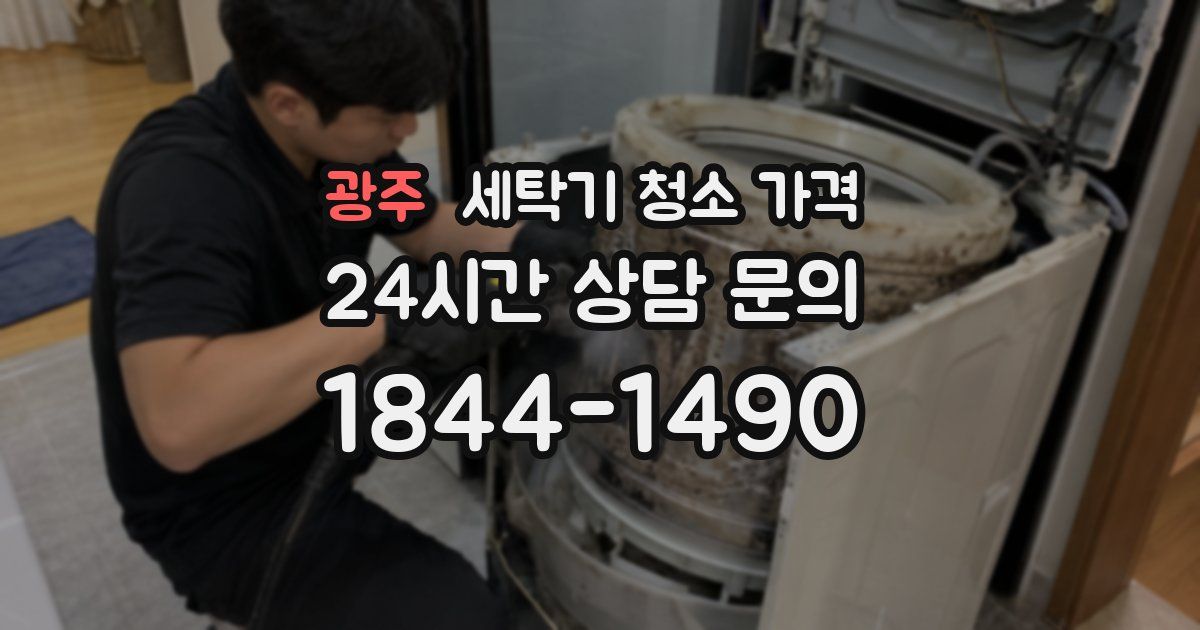 광주 세탁기 청소 가격
