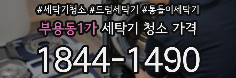 부용동1가 세탁기 청소 가격