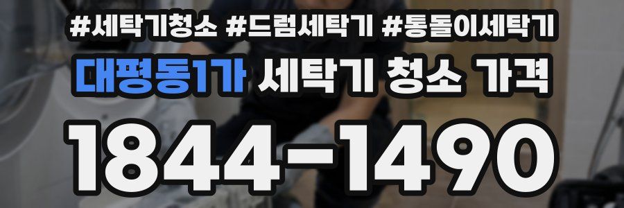 대평동1가 세탁기 청소 가격