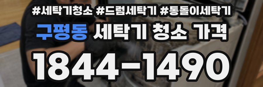 구평동 세탁기 청소 가격