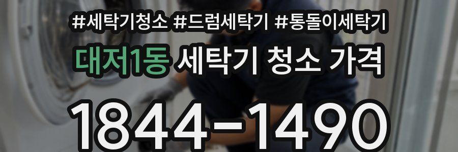대저1동 세탁기 청소 가격