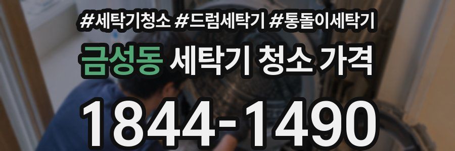 금성동 세탁기 청소 가격