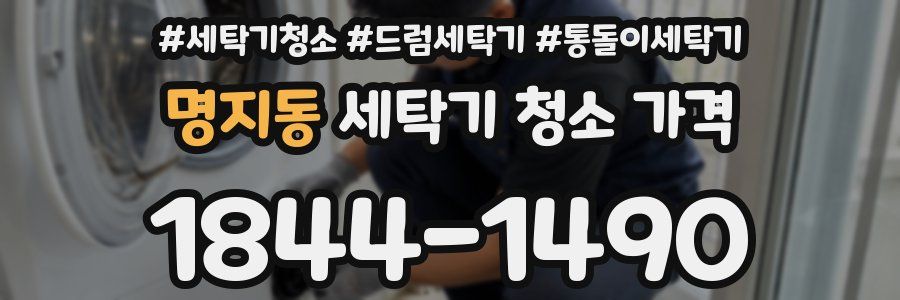 명지동 세탁기 청소 가격