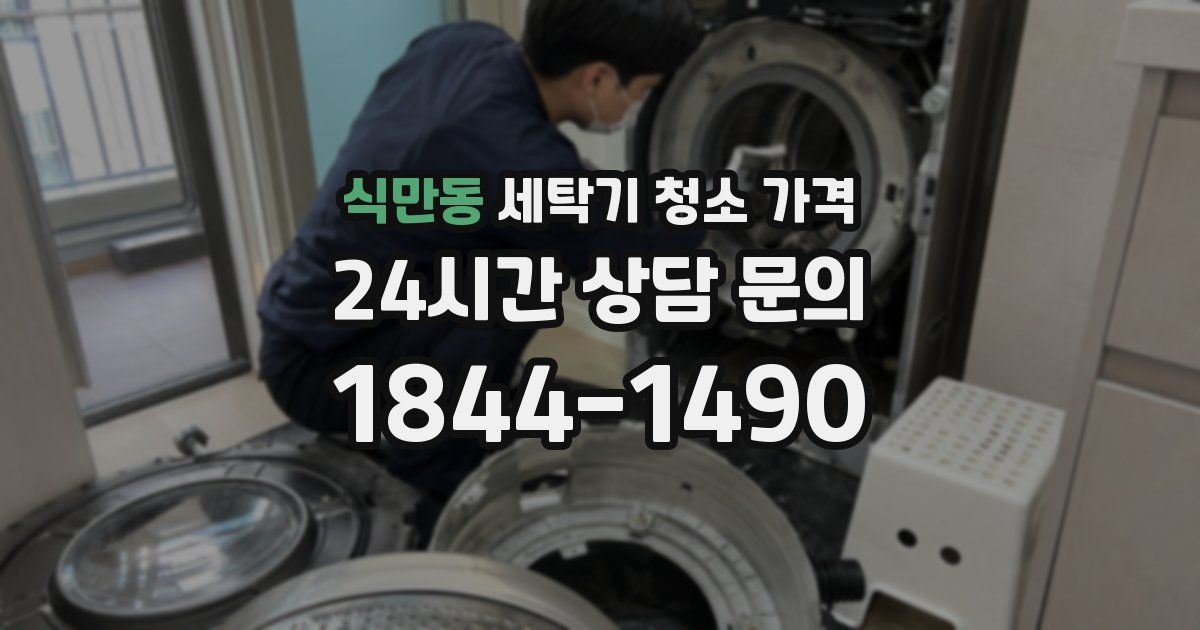 식만동 세탁기 청소 가격