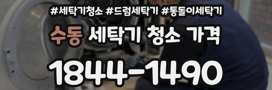 수동 세탁기 청소 가격