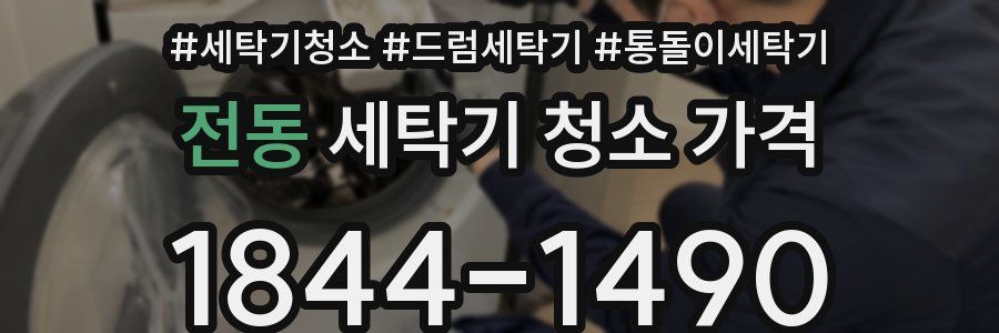 전동 세탁기 청소 가격