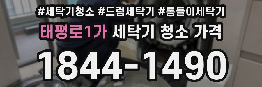 태평로1가 세탁기 청소 가격