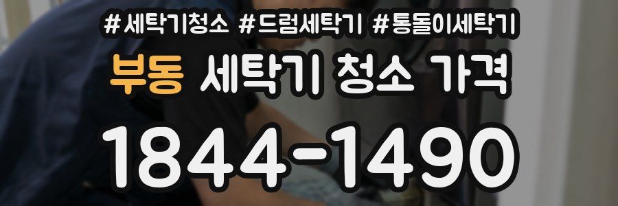 부동 세탁기 청소 가격