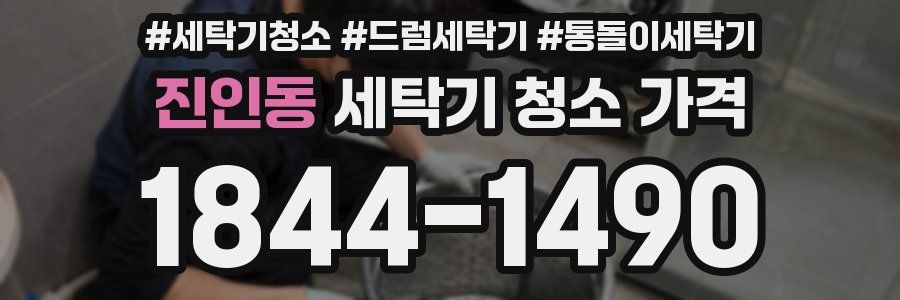 진인동 세탁기 청소 가격