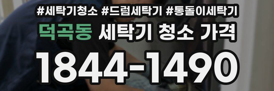 덕곡동 세탁기 청소 가격