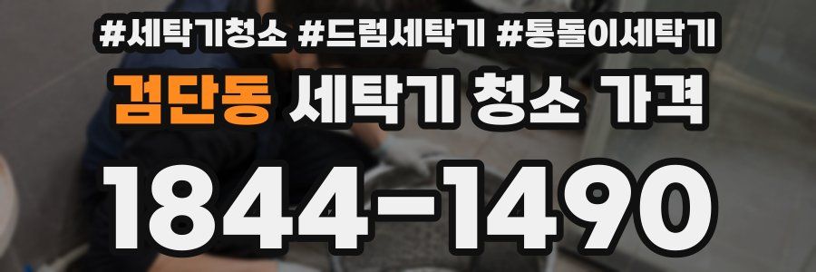 검단동 세탁기 청소 가격
