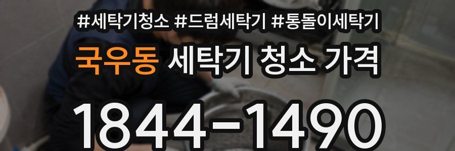 국우동 세탁기 청소 가격