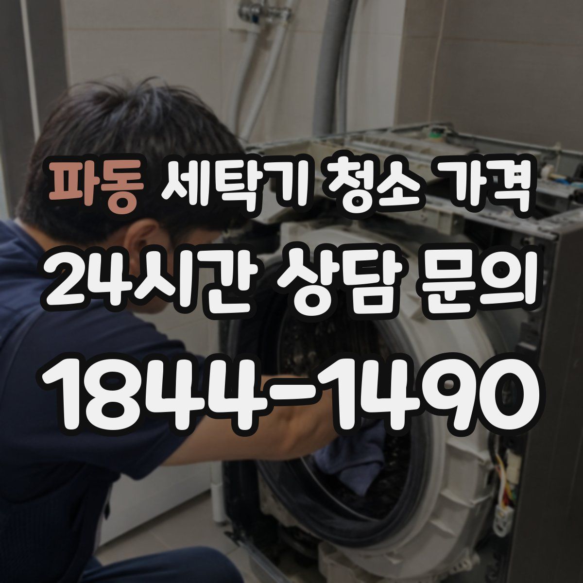 파동 세탁기 청소 가격