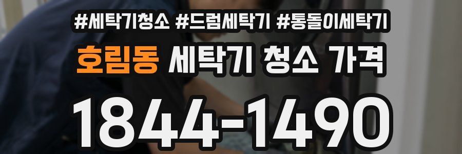 호림동 세탁기 청소 가격