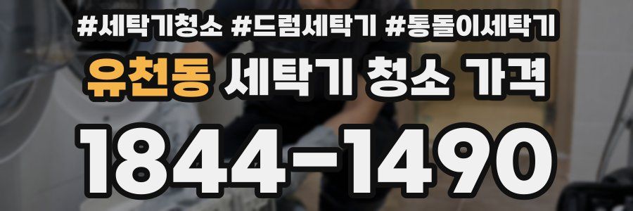 유천동 세탁기 청소 가격