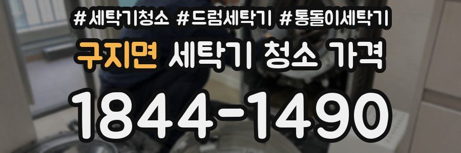 구지면 세탁기 청소 가격