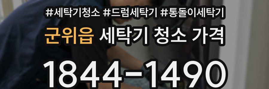 군위읍 세탁기 청소 가격