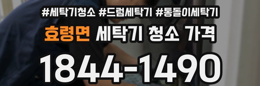 효령면 세탁기 청소 가격