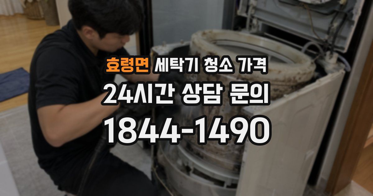 효령면 세탁기 청소 가격