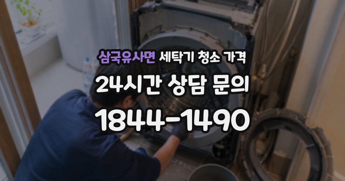 삼국유사면 세탁기 청소 가격