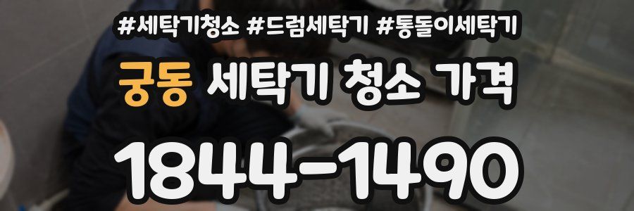 궁동 세탁기 청소 가격