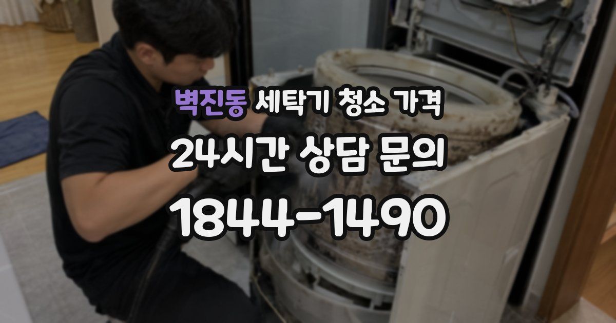 벽진동 세탁기 청소 가격