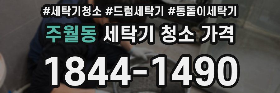 주월동 세탁기 청소 가격