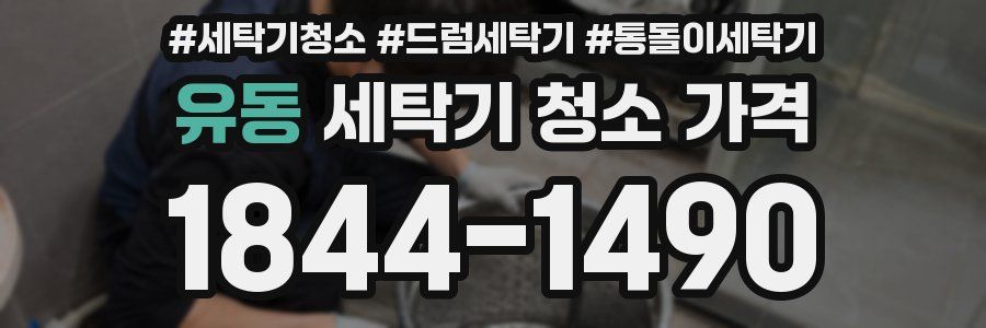 유동 세탁기 청소 가격