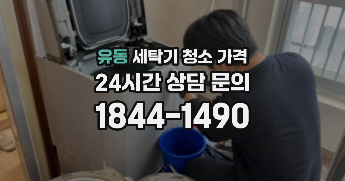 유동 세탁기 청소 가격