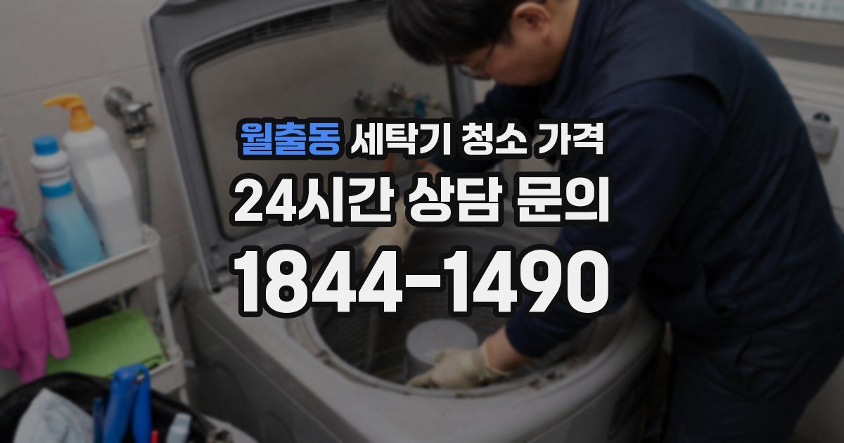 월출동 세탁기 청소 가격