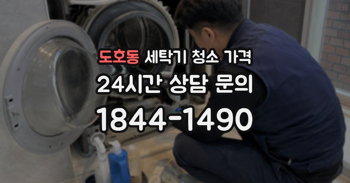 도호동 세탁기 청소 가격