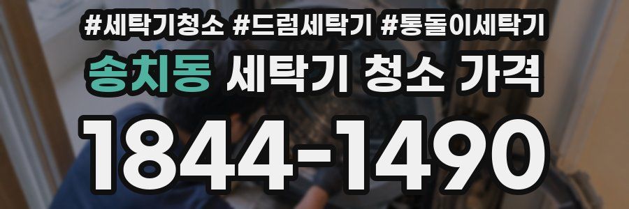 송치동 세탁기 청소 가격
