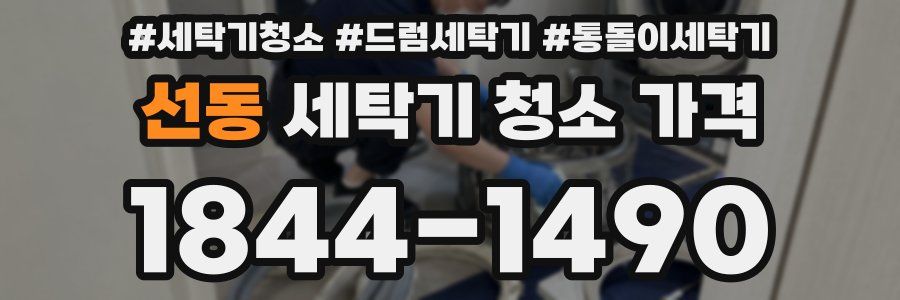 선동 세탁기 청소 가격