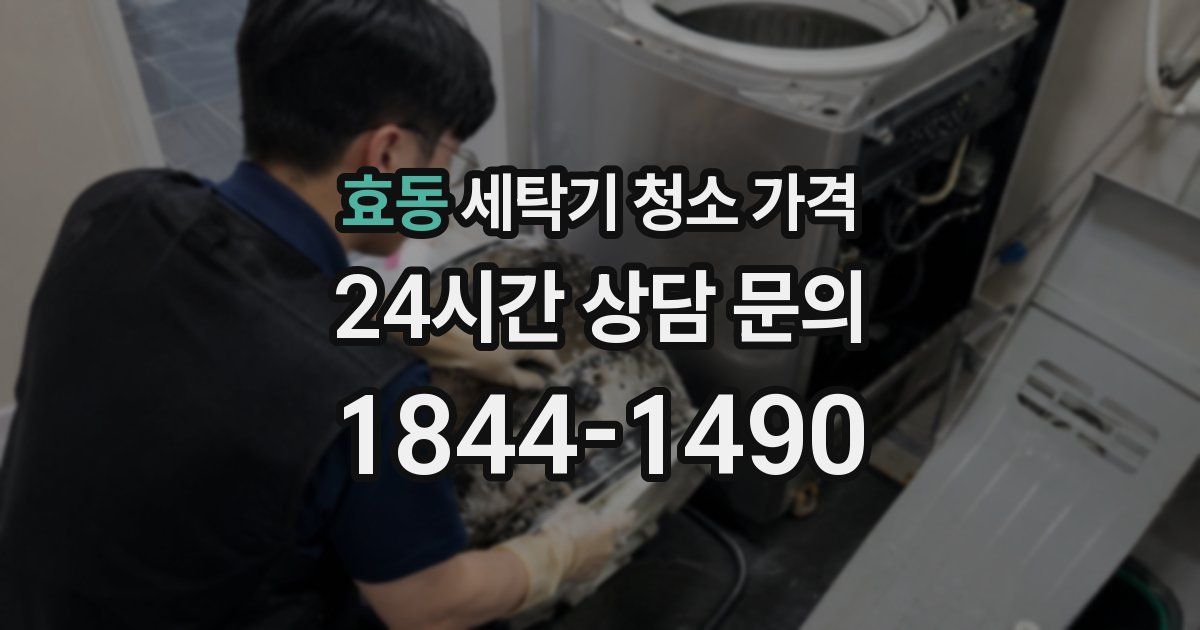 효동 세탁기 청소 가격