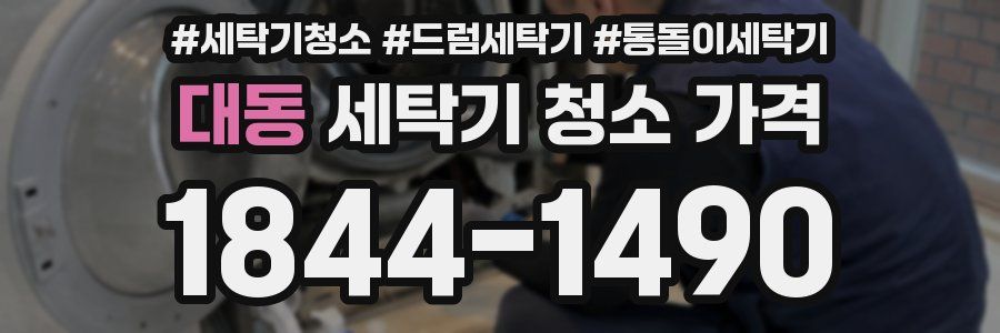 대동 세탁기 청소 가격