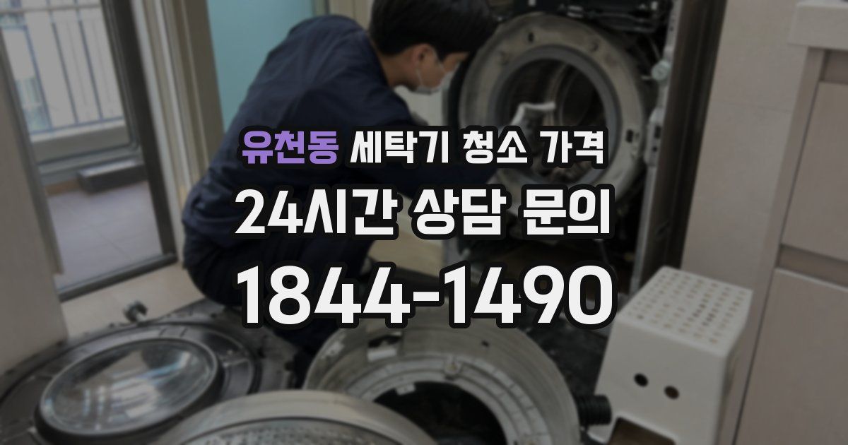 유천동 세탁기 청소 가격