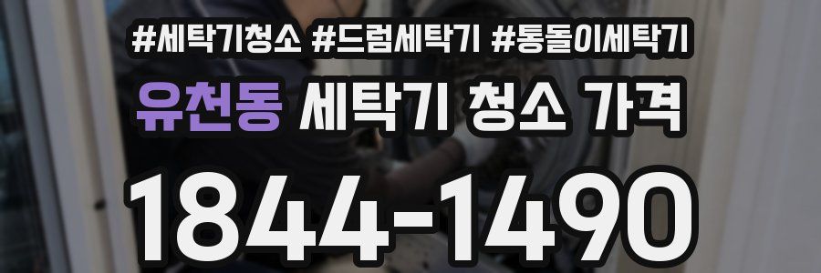 유천동 세탁기 청소 가격