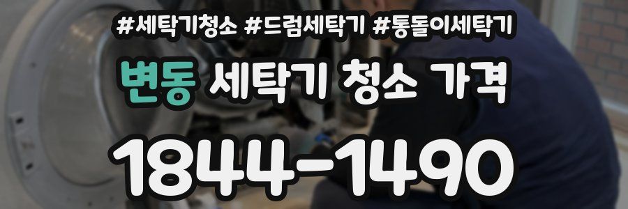 변동 세탁기 청소 가격