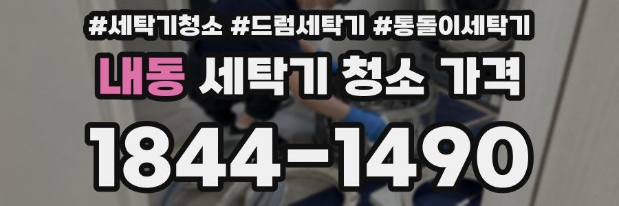 내동 세탁기 청소 가격