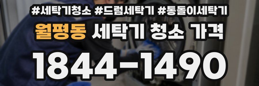 월평동 세탁기 청소 가격