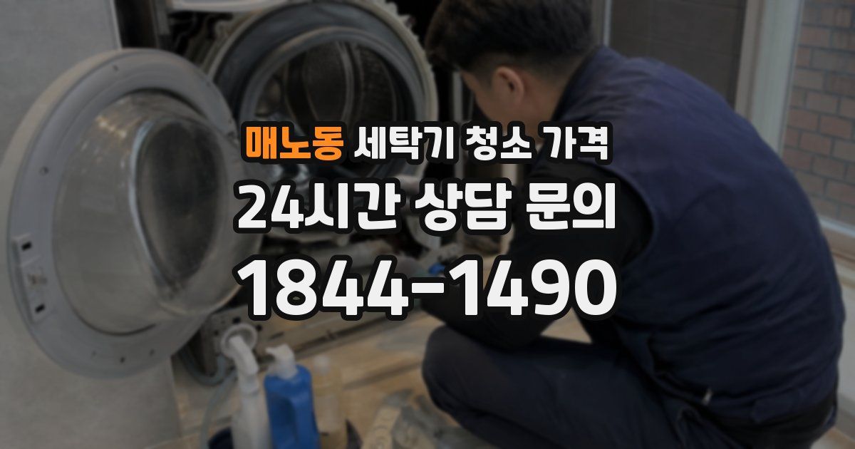 매노동 세탁기 청소 가격