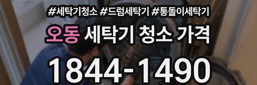 오동 세탁기 청소 가격