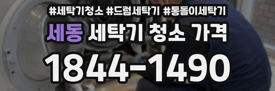 세동 세탁기 청소 가격
