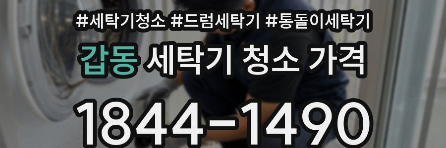 갑동 세탁기 청소 가격