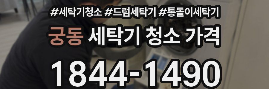 궁동 세탁기 청소 가격